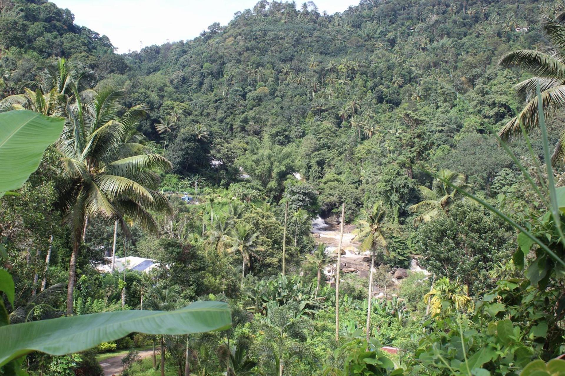 Munnar Village Homes Exterior foto