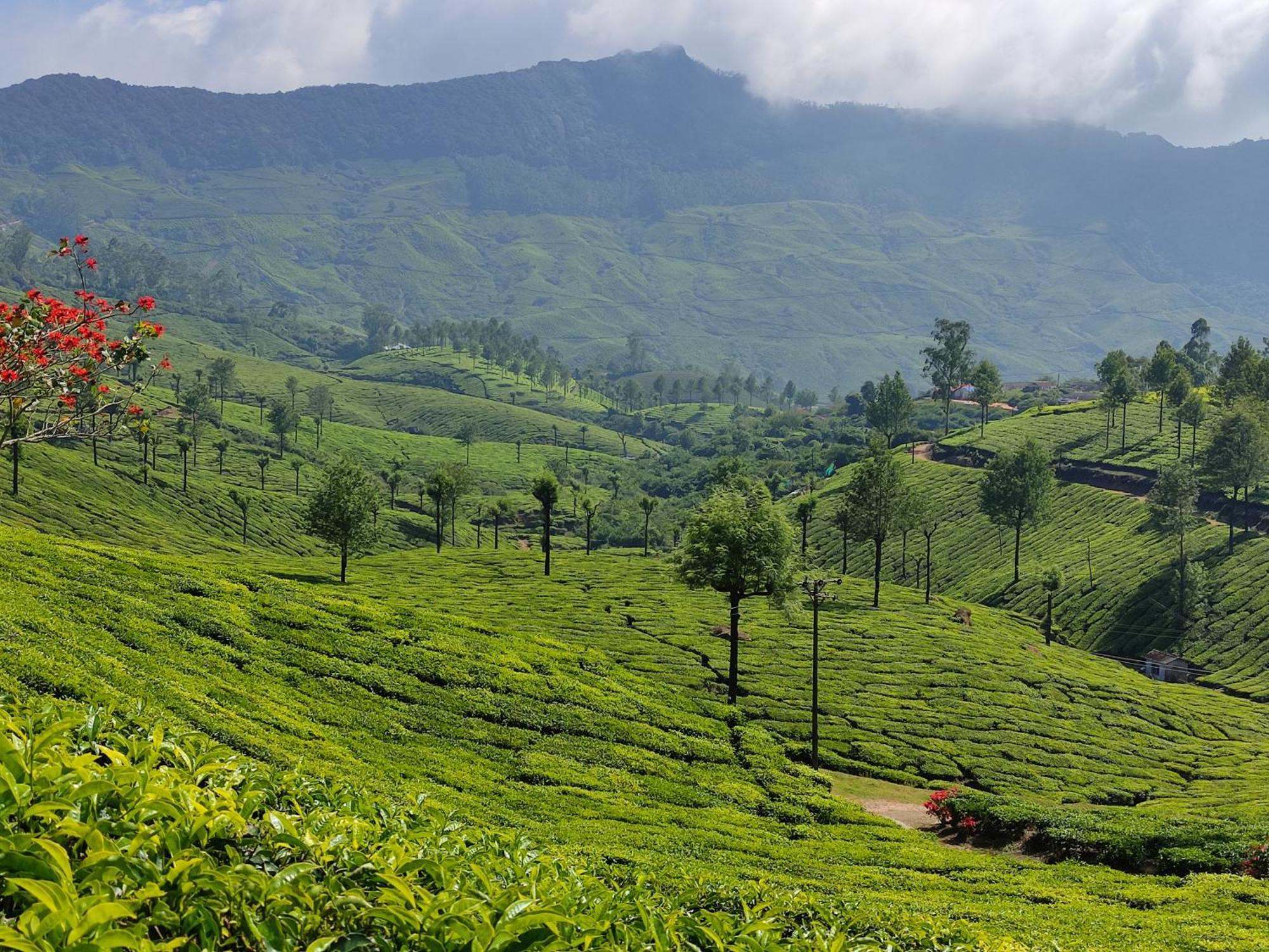 Munnar Village Homes Exterior foto